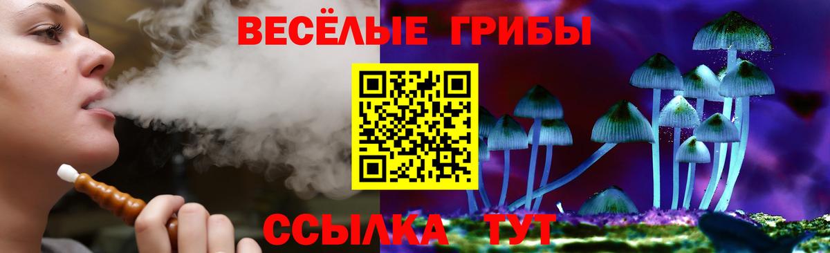 Псилоцибиновые грибы Magic Shrooms  Псилоцибиновые грибы Psilocybe  Борисоглебск 